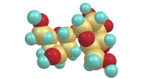 trehaloza - molekula